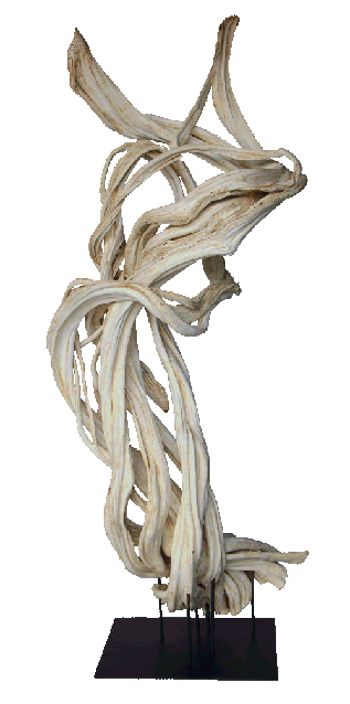 reclaimed tropical vine mounted on a stand