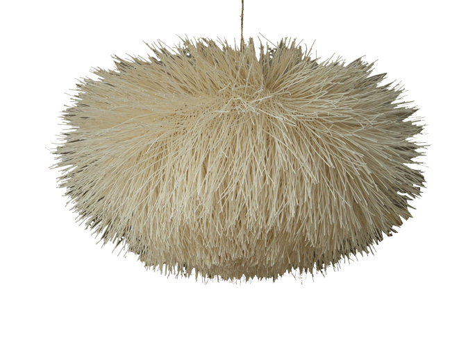 urchin light fixture and other natural home furnishings
